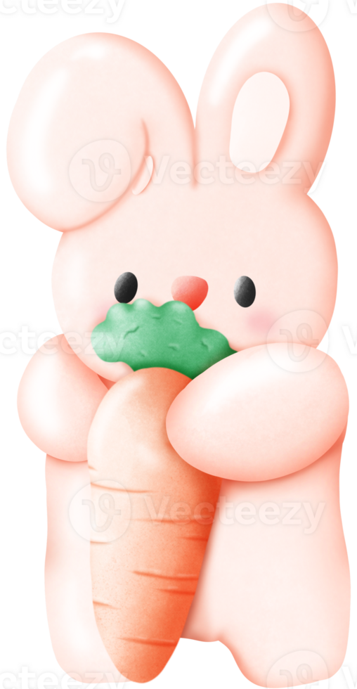 rabbit holding carrot png