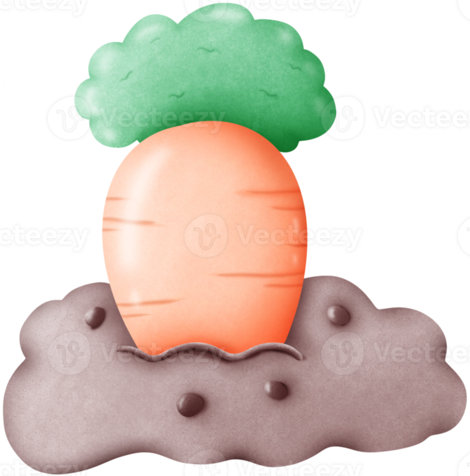 Growing carrots popping out of the soil png