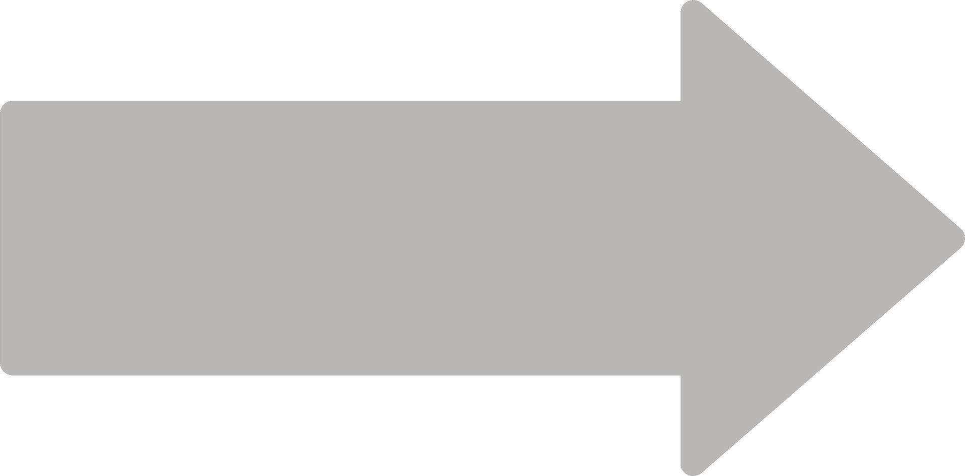 Arrow Right Vector Icon