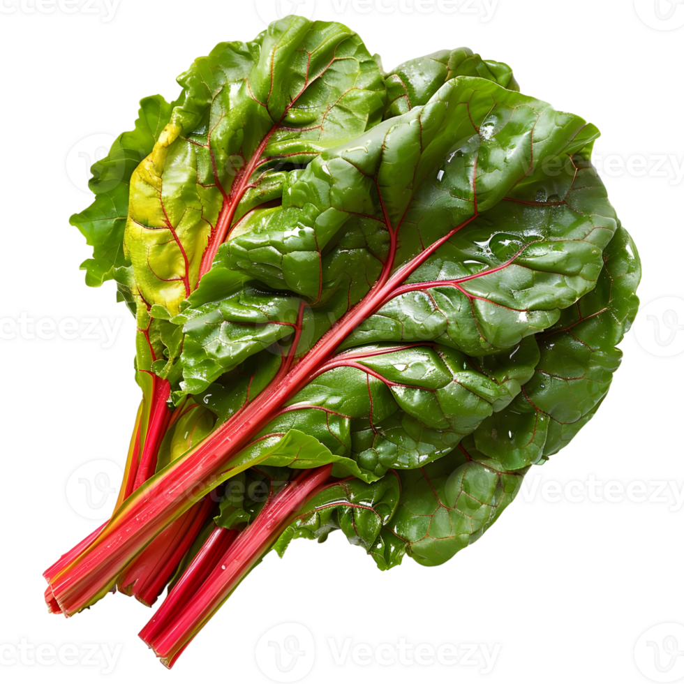 AI generated 3D Rendering of a Switzerland Chard Common Beet on Transparent Background - Ai Generated png