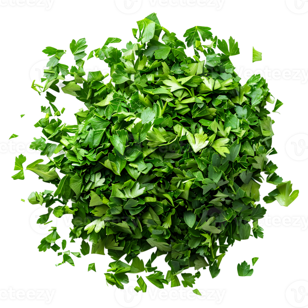 AI generated 3D Rendering of a Chopped Parsley on Transparent Background - Ai Generated png
