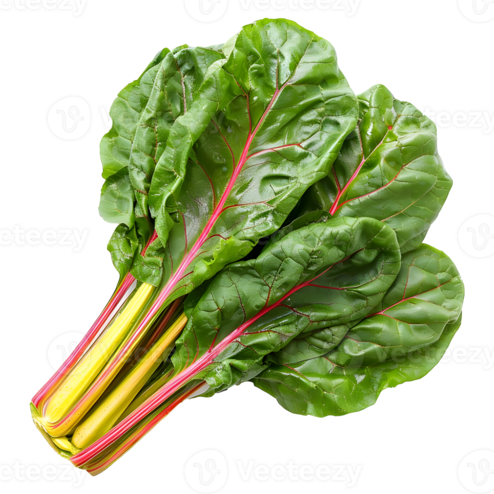 AI generated 3D Rendering of a Switzerland Chard Common Beet on Transparent Background - Ai Generated png