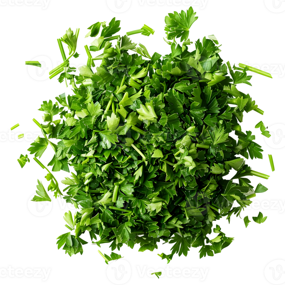 AI generated 3D Rendering of a Chopped Parsley on Transparent Background - Ai Generated png