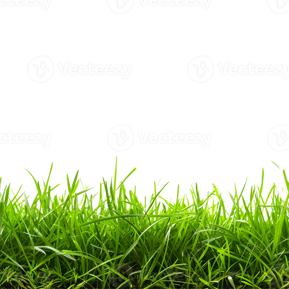 AI generated 3D Rendering of a Grass in a Footer on Transparent Background - Ai Generated png