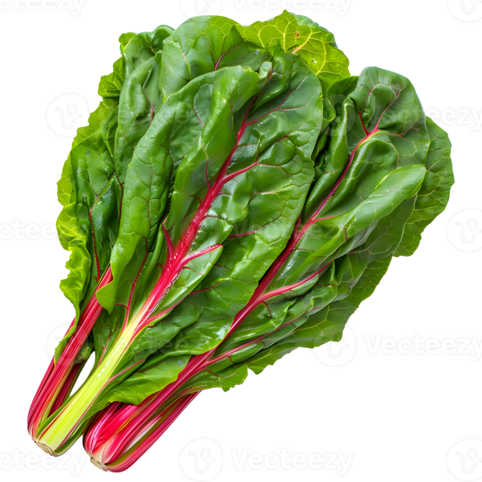 AI generated 3D Rendering of a Switzerland Chard Common Beet on Transparent Background - Ai Generated png