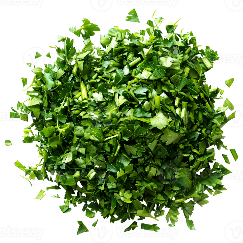 AI generated 3D Rendering of a Chopped Parsley on Transparent Background - Ai Generated png