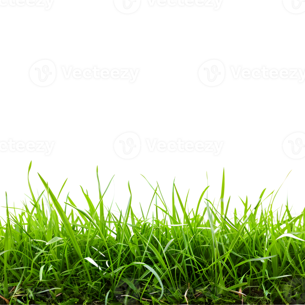 AI generated 3D Rendering of a Grass in a Footer on Transparent Background - Ai Generated png
