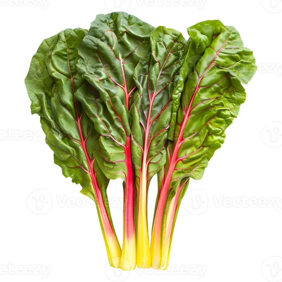 AI generated 3D Rendering of a Switzerland Chard Common Beet on Transparent Background - Ai Generated png