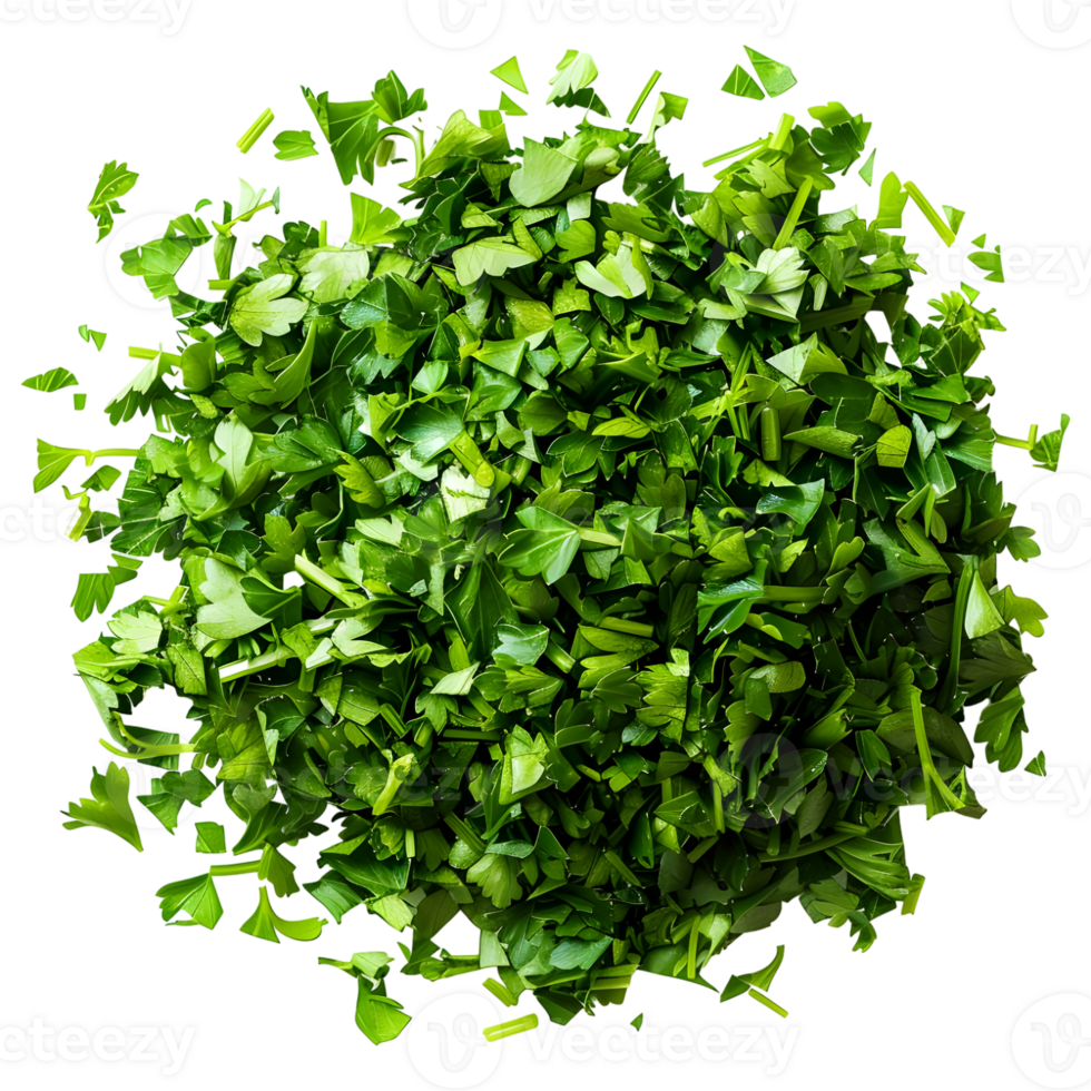 AI generated 3D Rendering of a Chopped Parsley on Transparent Background - Ai Generated png