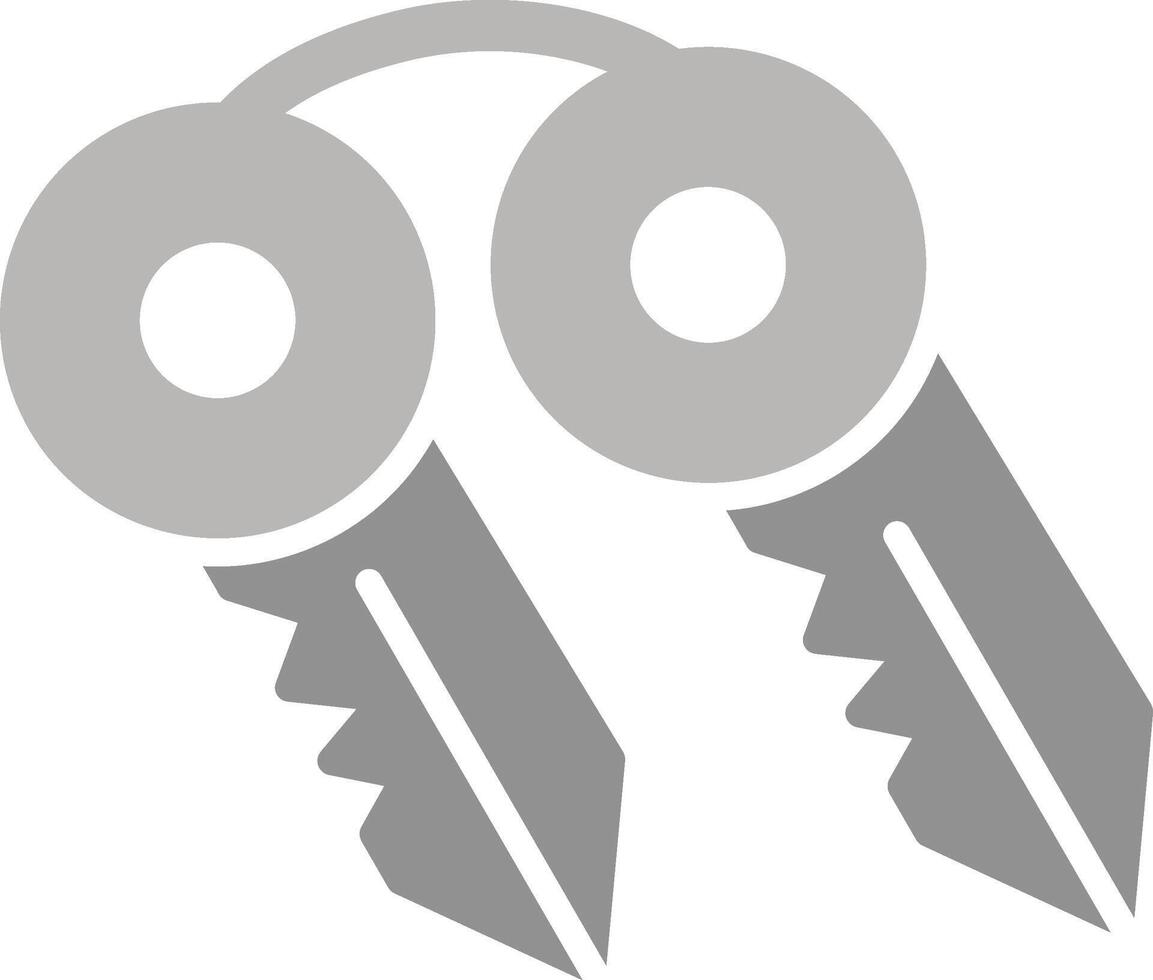 Keys Vector Icon