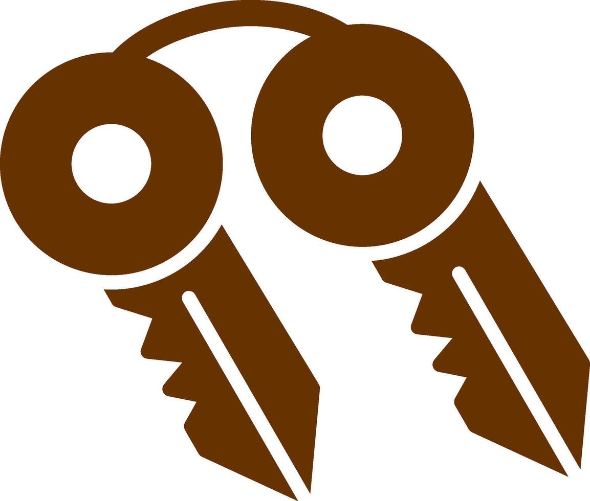 Keys Vector Icon