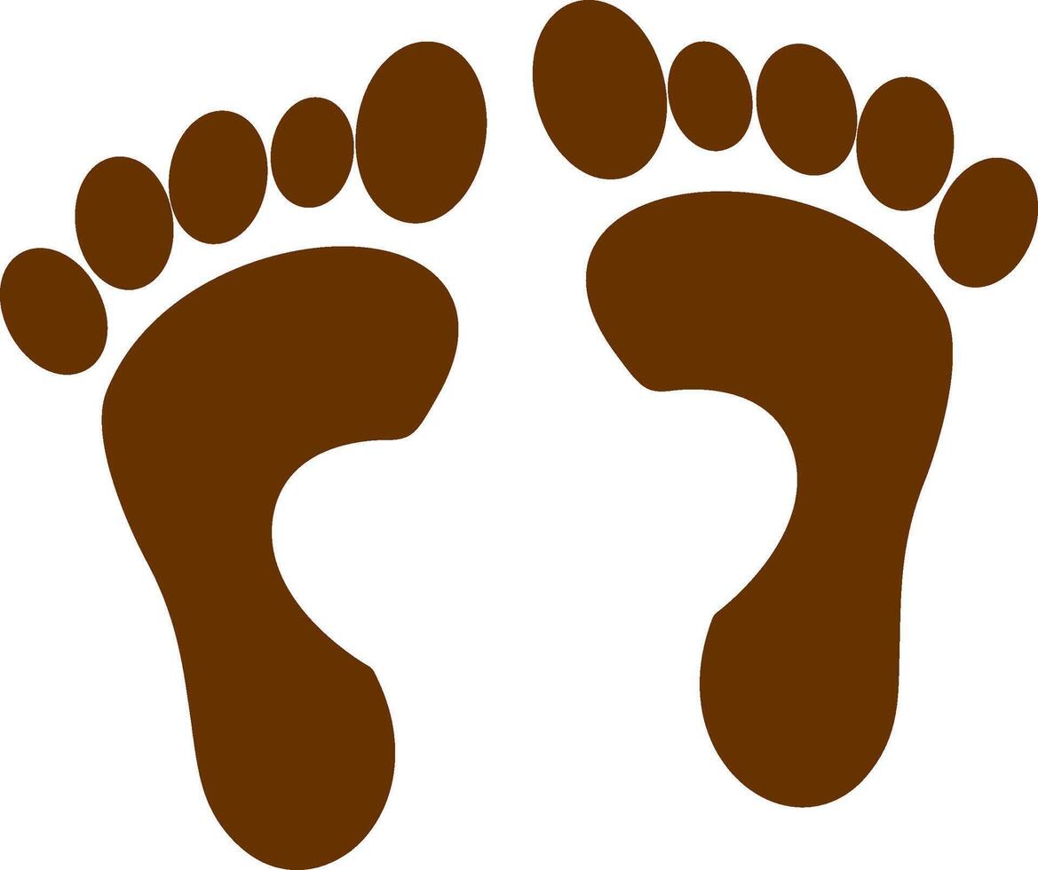 Foot X ray Vector Icon