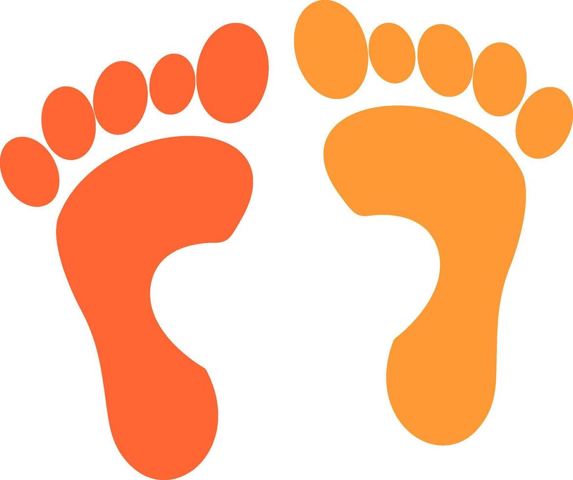 Foot X ray Vector Icon