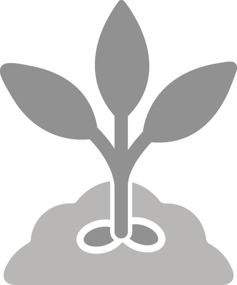 Seed Vector Icon
