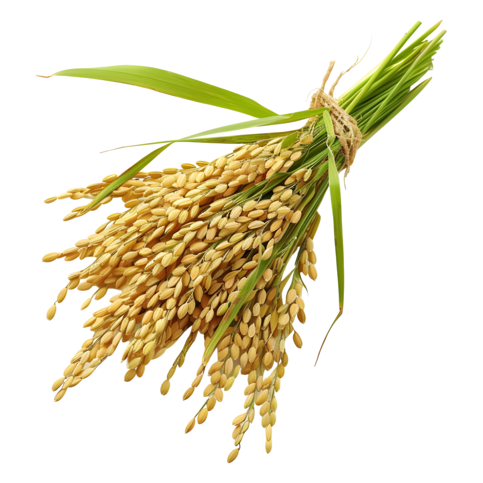AI generated 3D Rendering of a Grain crop on Transparent Background - Ai Generated png