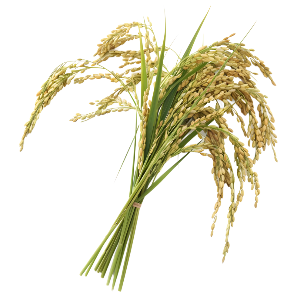 AI generated 3D Rendering of a Grain crop on Transparent Background - Ai Generated png