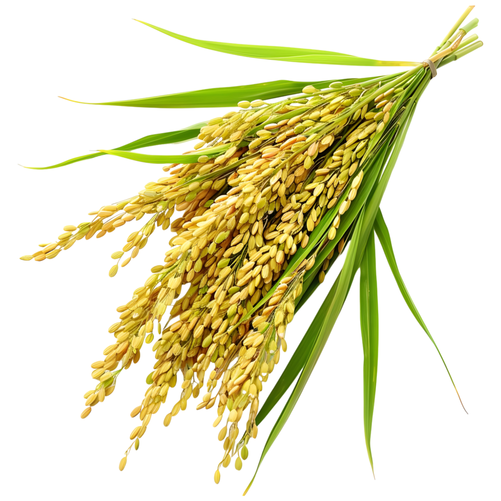 AI generated 3D Rendering of a Grain crop on Transparent Background - Ai Generated png