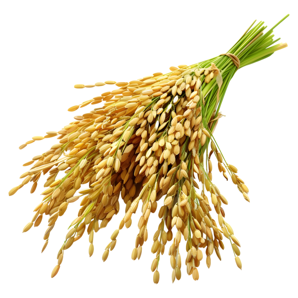 AI generated 3D Rendering of a Grain crop on Transparent Background - Ai Generated png