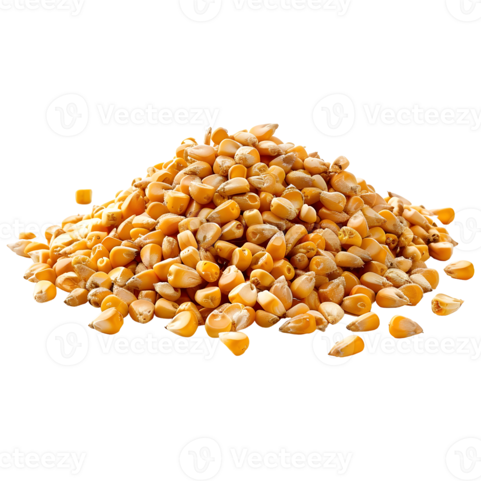 AI generated 3D Rendering of a Dry Corn Beans on Transparent Background - Ai Generated png