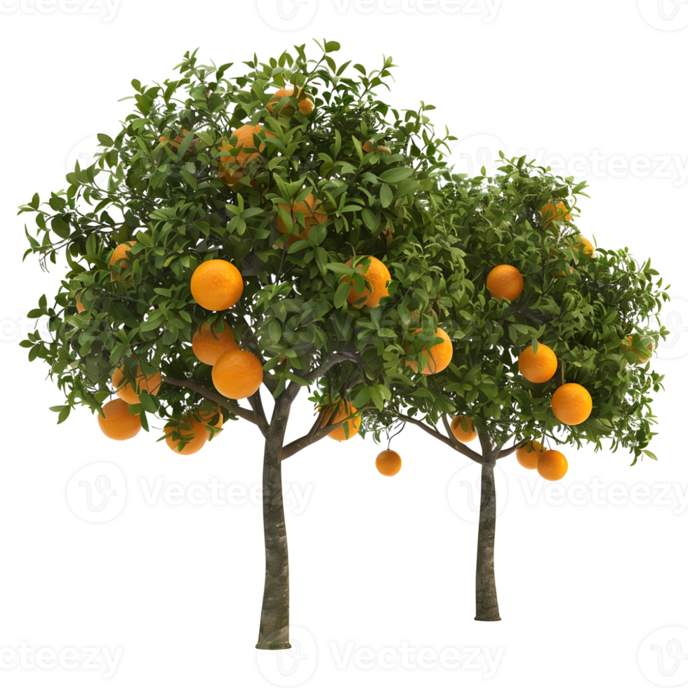 AI generated 3D Rendering of a Orange Fruit Tree on Transparent Background - Ai Generated png