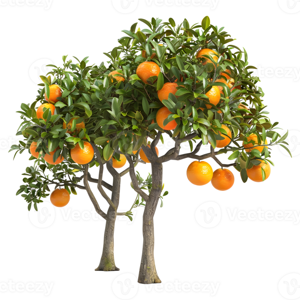 AI generated 3D Rendering of a Orange Fruit Tree on Transparent Background - Ai Generated png