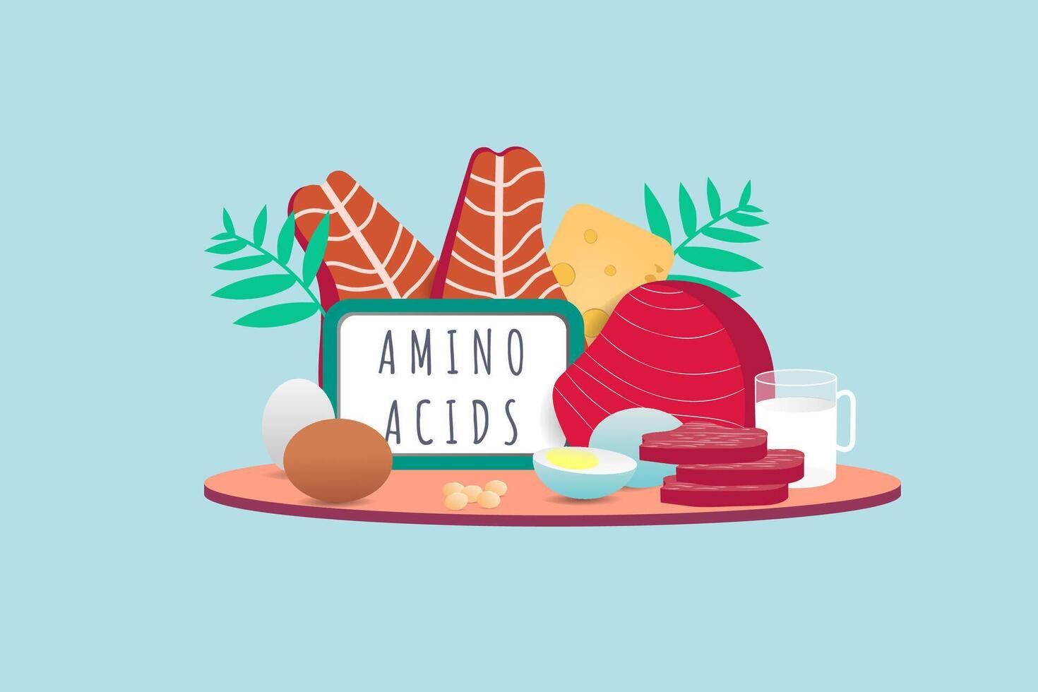 ilustración de comida fuentes ese Contiene aminado ácidos desde animal proteína. carne, huevos, leche, pez, nueces, queso vector