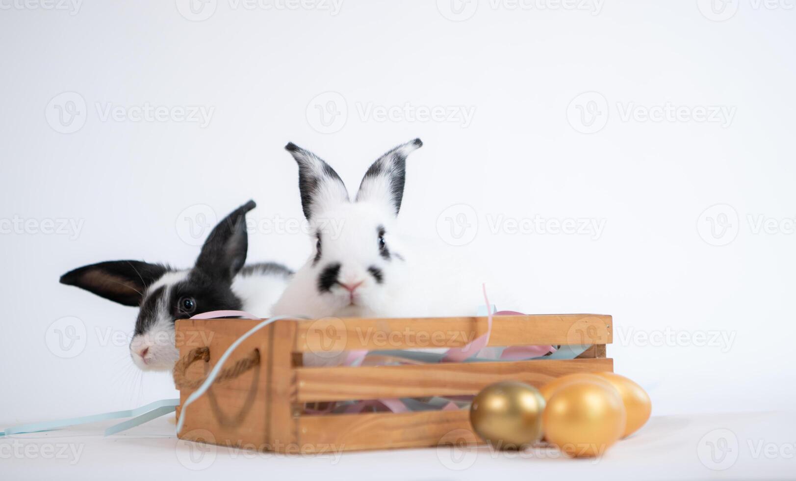 Easter bunny holding a basket with a rabbit inside photo