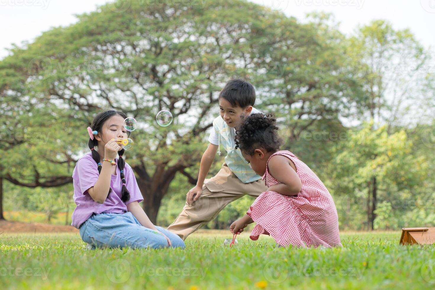 Children sitting in the park with blowing air bubble, Surrounded by greenery and nature photo