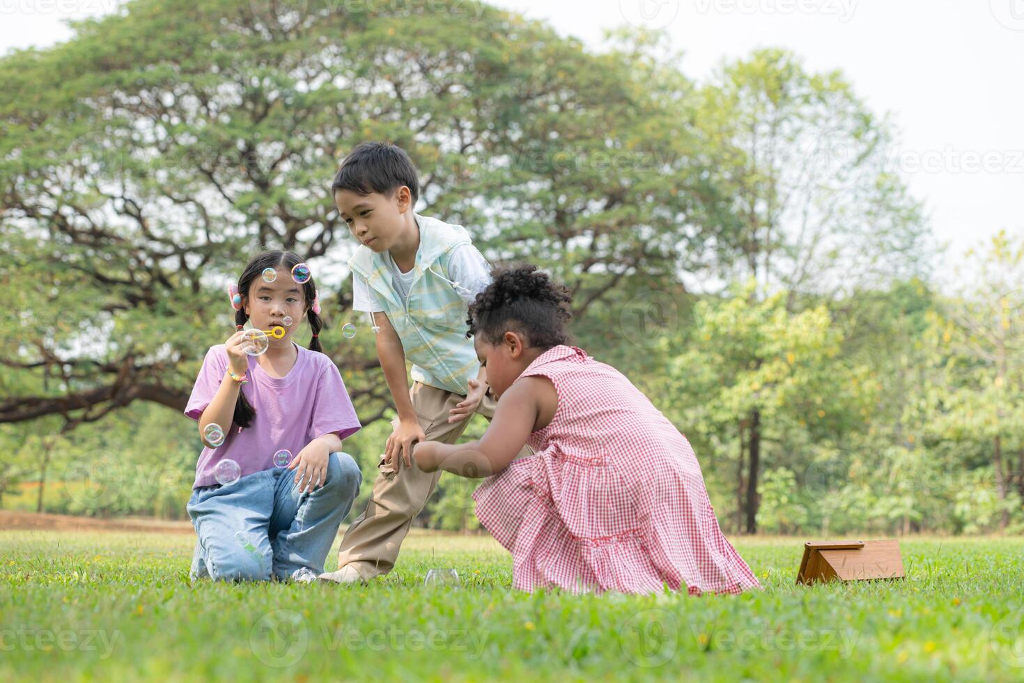 niños sentado en el parque con soplo aire burbuja, rodeado por verdor y naturaleza foto