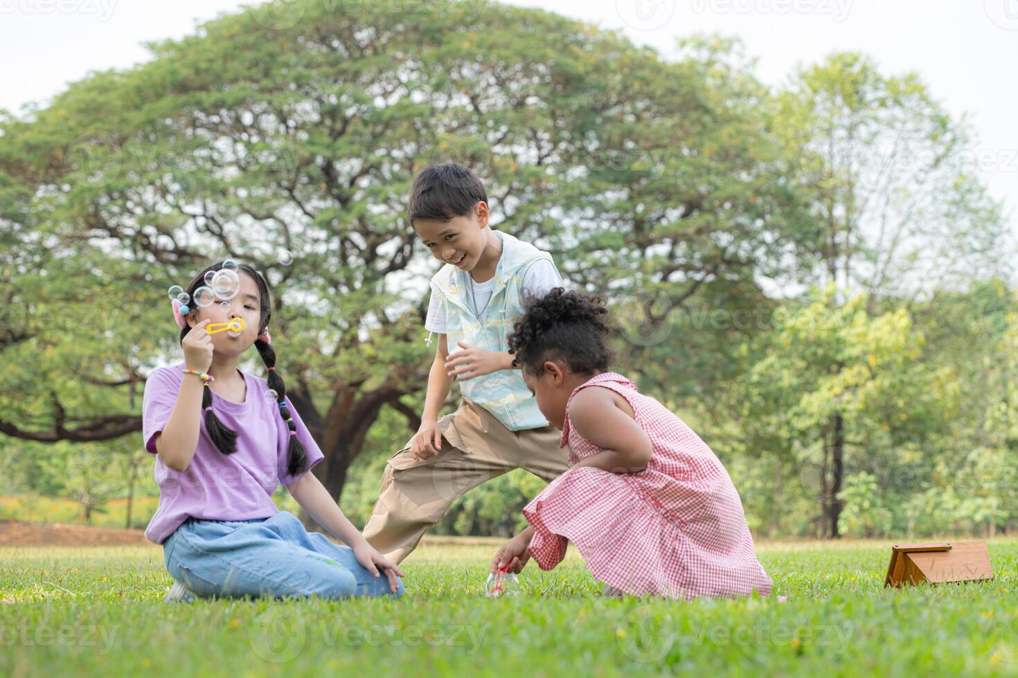 Children sitting in the park with blowing air bubble, Surrounded by greenery and nature photo