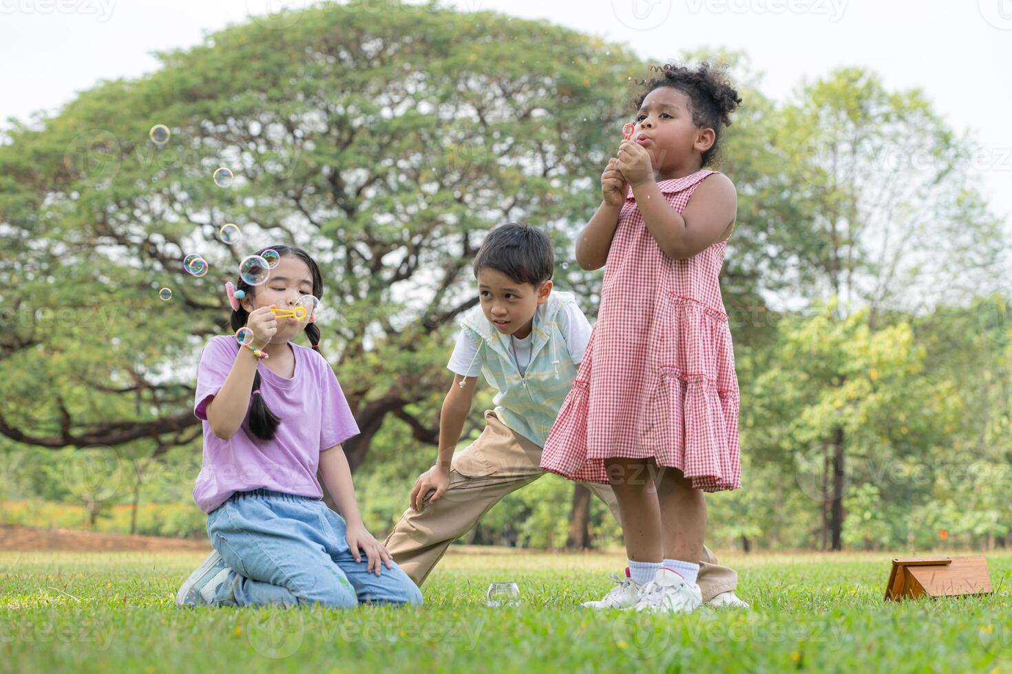 niños sentado en el parque con soplo aire burbuja, rodeado por verdor y naturaleza foto