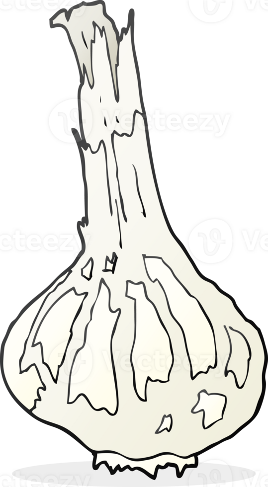 hand drawn cartoon garlic png