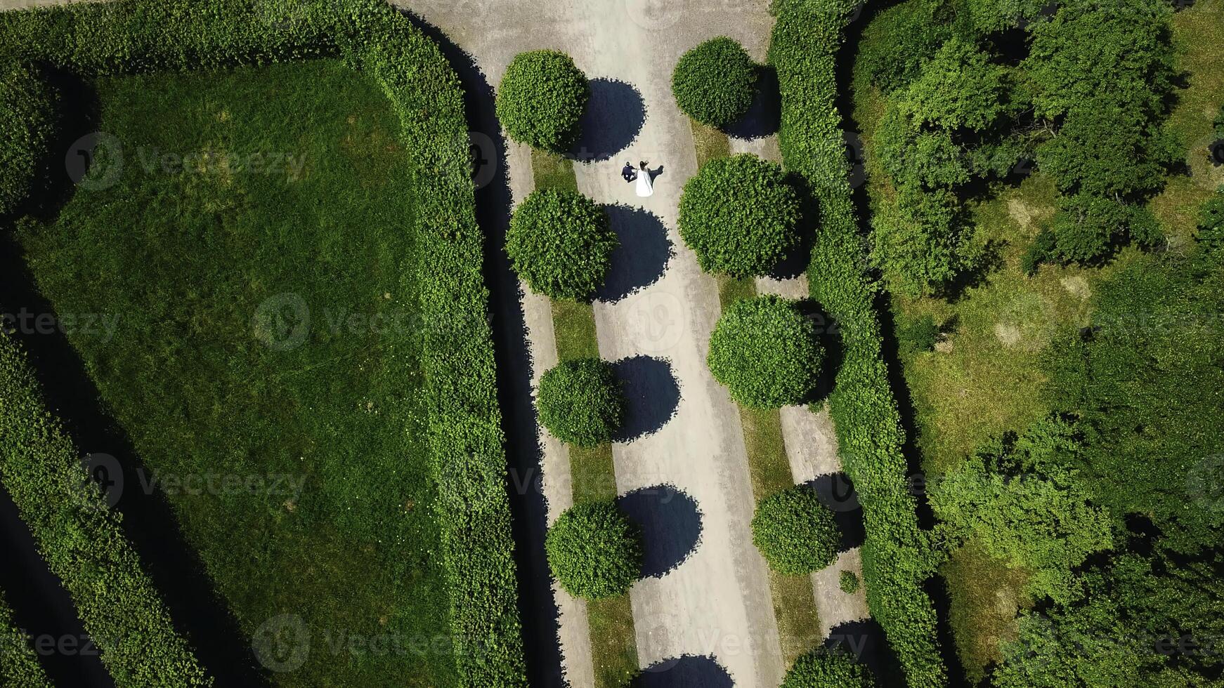 Beautiful couple of newlyweds walking in palace garden. Creative. Top view of newlyweds walking along alley in park. Palace Park with geometric paths and walking newlyweds photo