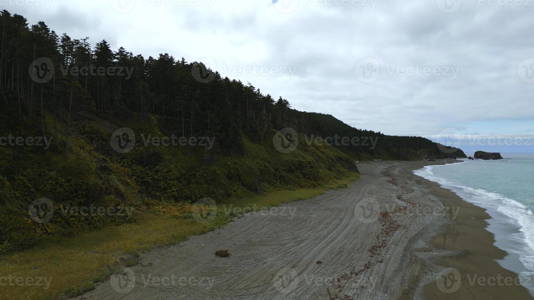 Top view of beautiful coast with dense forest. Clip. Coastline of sea on crest of dense green forest to horizon. Coast of island with dense green forest and mountains photo