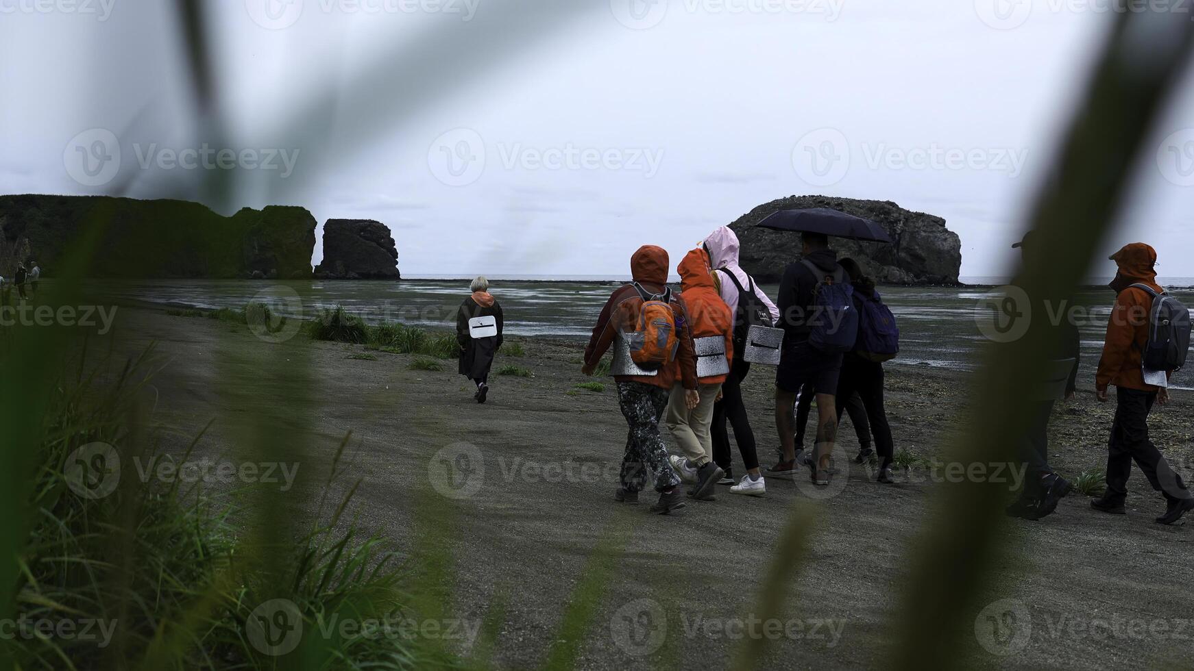 Group of tourists walks on coast on cloudy day. Clip. Green grass on background of tourists walking by sea on cloudy day. Group of people walking along seashore with rocks photo