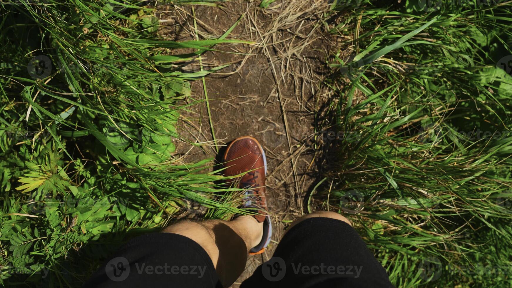 Close-up of man walking along path with green grass. Clip. Man in sports sneakers walks along mountain trail on sunny summer day. Sports walk in sneakers on narrow path with green grass photo
