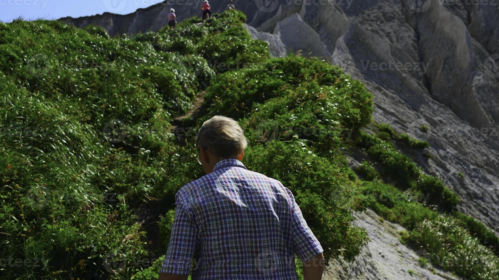 abuelo en caminata en montañas en verano. acortar. mayor hombre camina a lo largo montaña camino en soleado verano día. posterior ver de mayor hombre caminando en caminata en colinas con verde césped foto