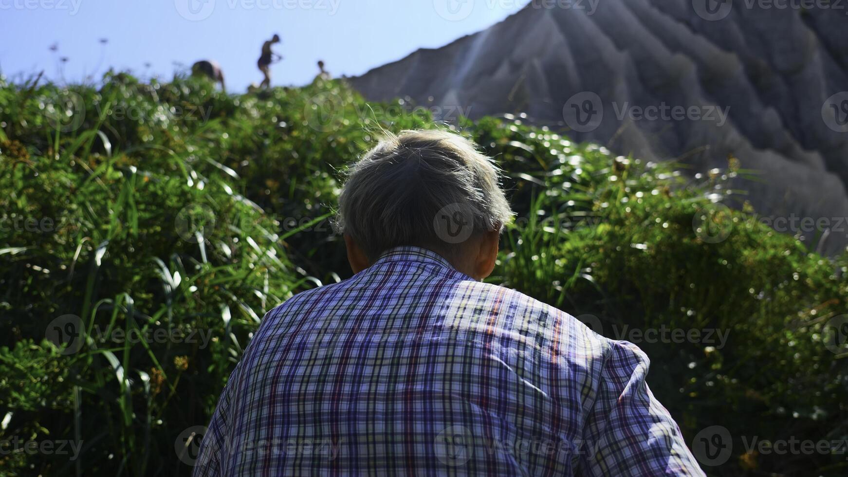 Grandfather on hike in mountains in summer. Clip. Elderly man walks along mountain path on sunny summer day. Rear view of elderly man walking on hike in hills with green grass photo