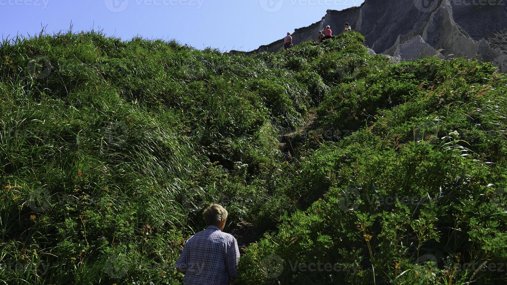 abuelo en caminata en montañas en verano. acortar. mayor hombre camina a lo largo montaña camino en soleado verano día. posterior ver de mayor hombre caminando en caminata en colinas con verde césped foto