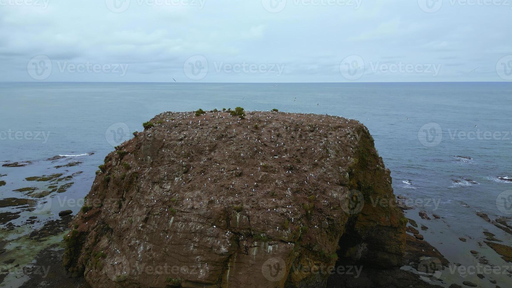 Sea rock with house for seagulls. Clip. Top view of sea cliff with flying gulls on background of sea horizon. Cinematic view with rock and seagulls in sea photo