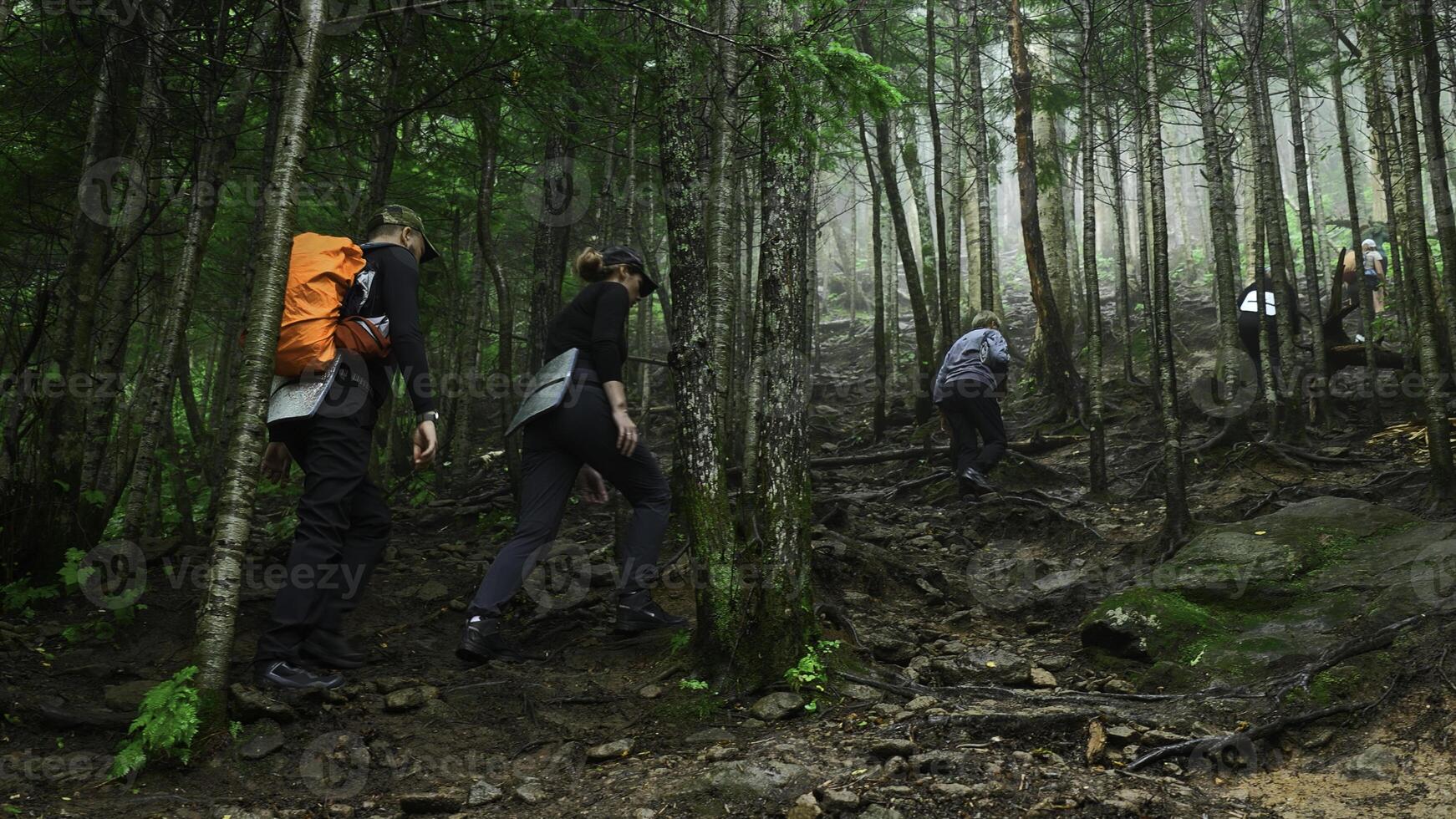 Group of tourists is walking on mountain trail in dense forest. Clip. Tourists climb mountain slope in green forest. Tourists walk along the trail up forest slope photo