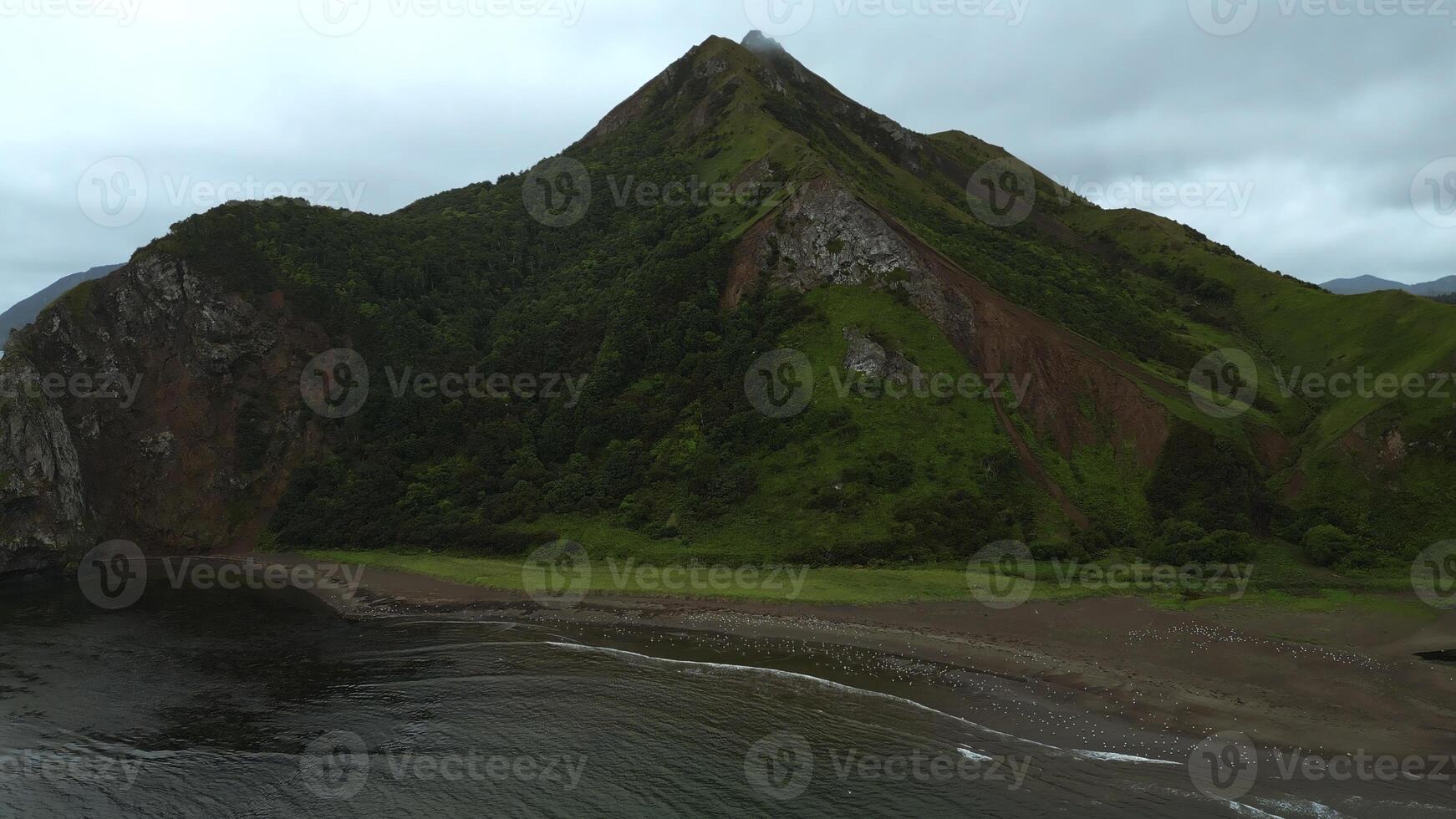 Top view of wild coast with rocky mountains. Clip. Flock of seagulls on ocean shore on backdrop of amazing mountains. Seagulls on wild beach on mountain island on cloudy day photo