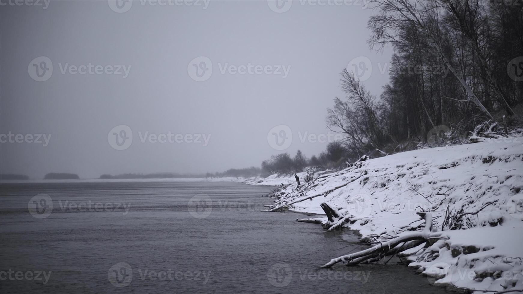 Beautiful winter sea shore with snow. Clip. Beach with sticks and trees on snowy winter day. Beautiful snow-covered lake shore on cloudy day photo