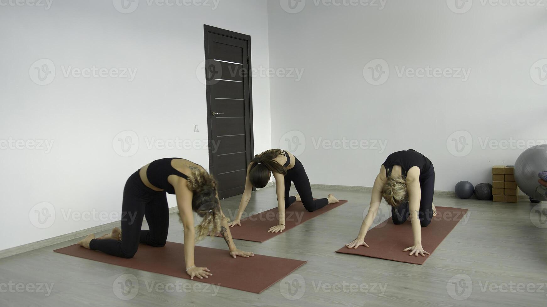 yoga clase con entrenador en estudio. medios de comunicación. principiante es comprometido en yoga estudio con profesionales yoga clases para belleza y salud foto