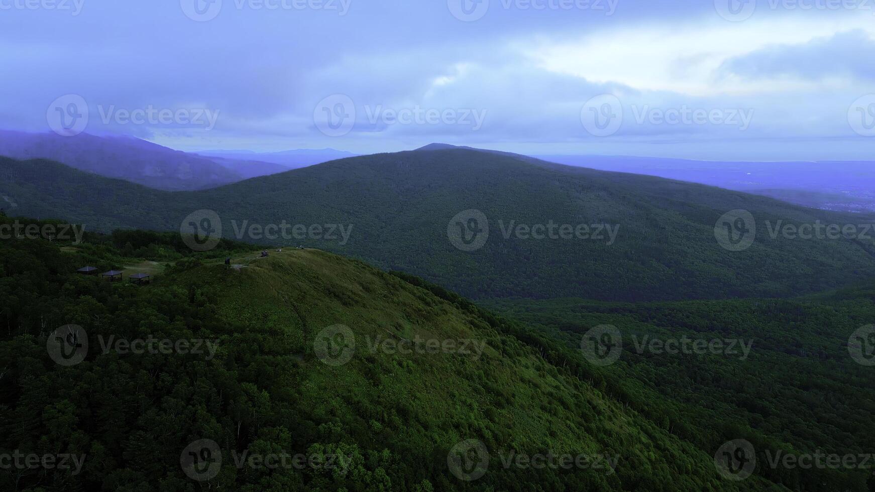 Aerial view of the coniferous forest growing on the slopes of the mountains. Clip. Evergreen valley of coniferous trees. photo