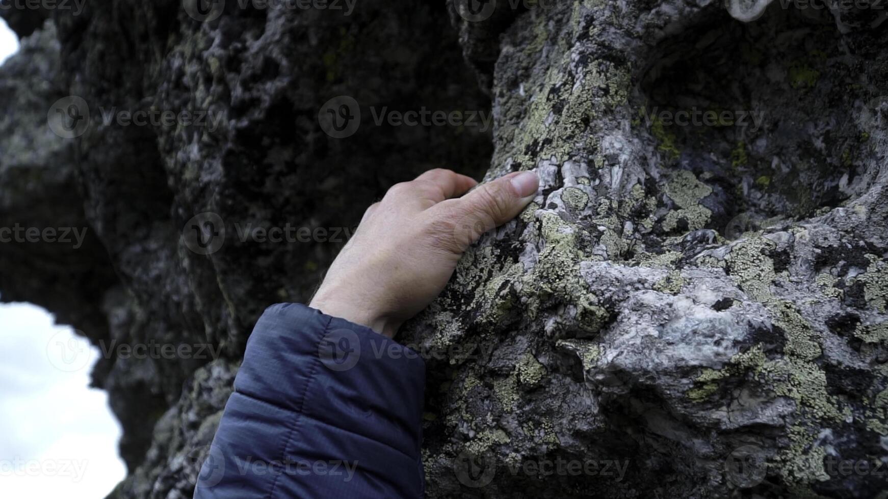 naturaleza, toque y rock con mujer mano sensación textura, superficie o terreno de montaña. acortar. viajar, trekking y ecología con hembra palma en Roca. foto