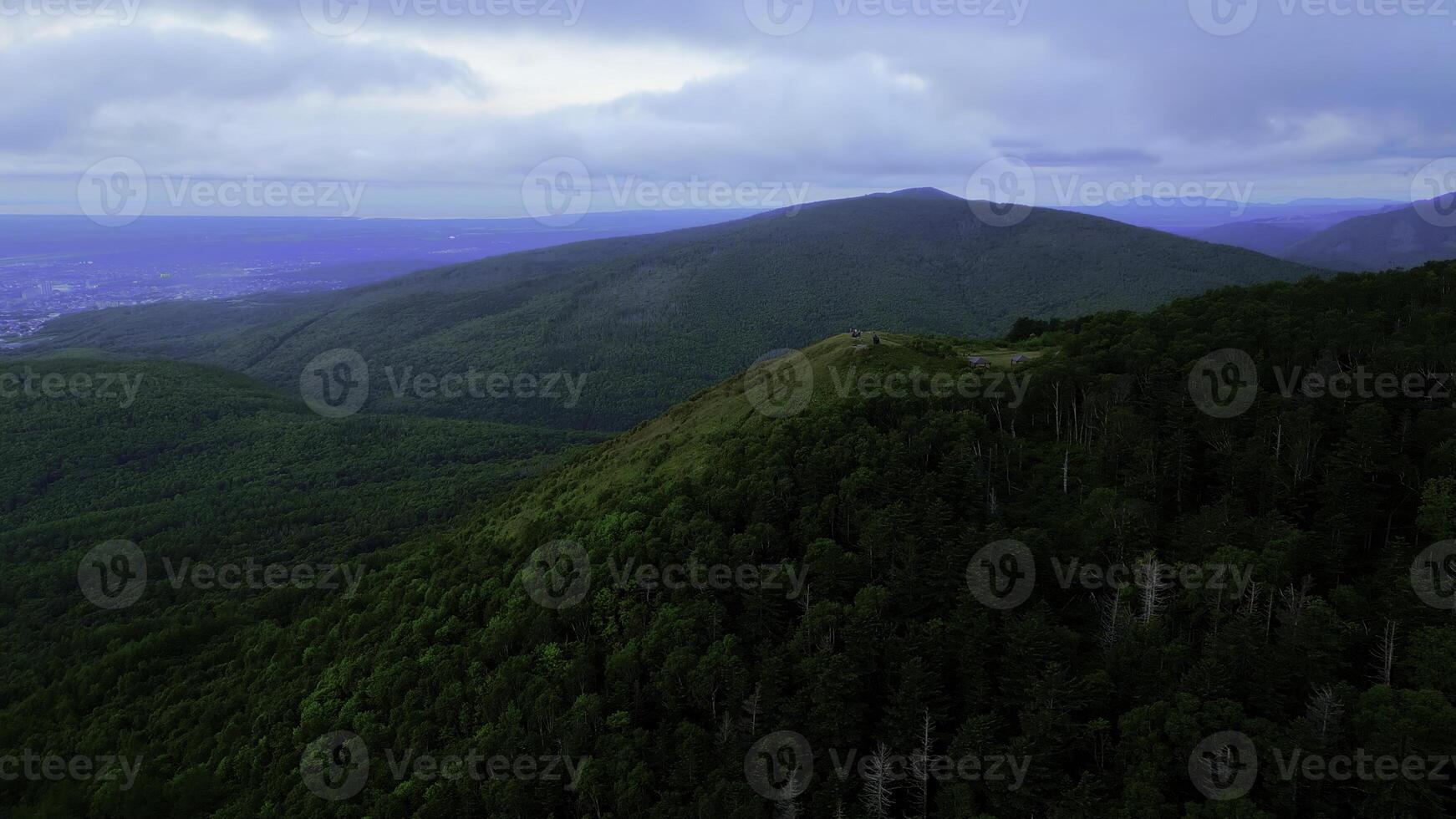 Aerial view of the coniferous forest growing on the slopes of the mountains. Clip. Evergreen valley of coniferous trees. photo