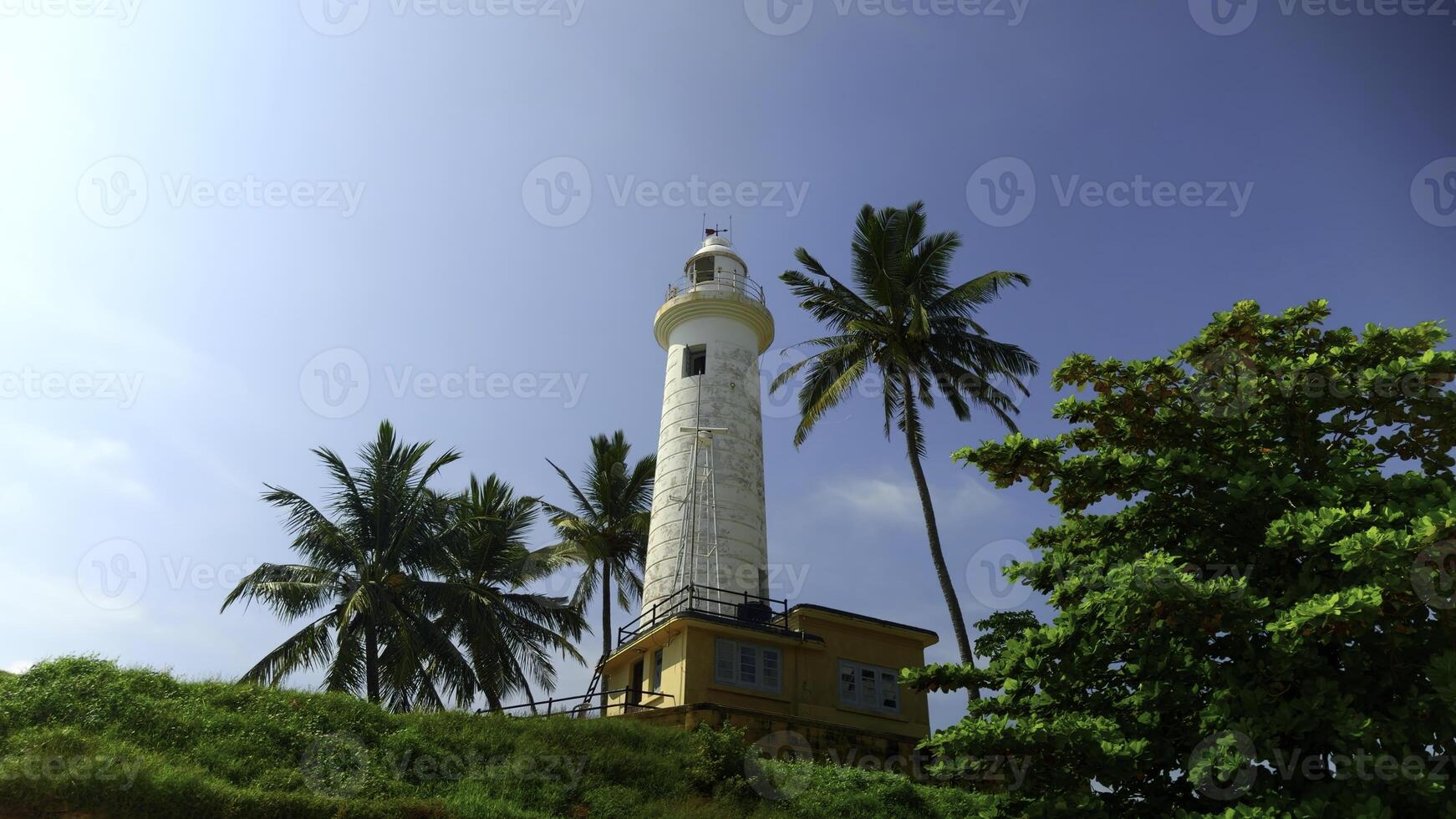 un faro en el medio de un tropical selva. acción. verde vegetación a verano complejo. foto