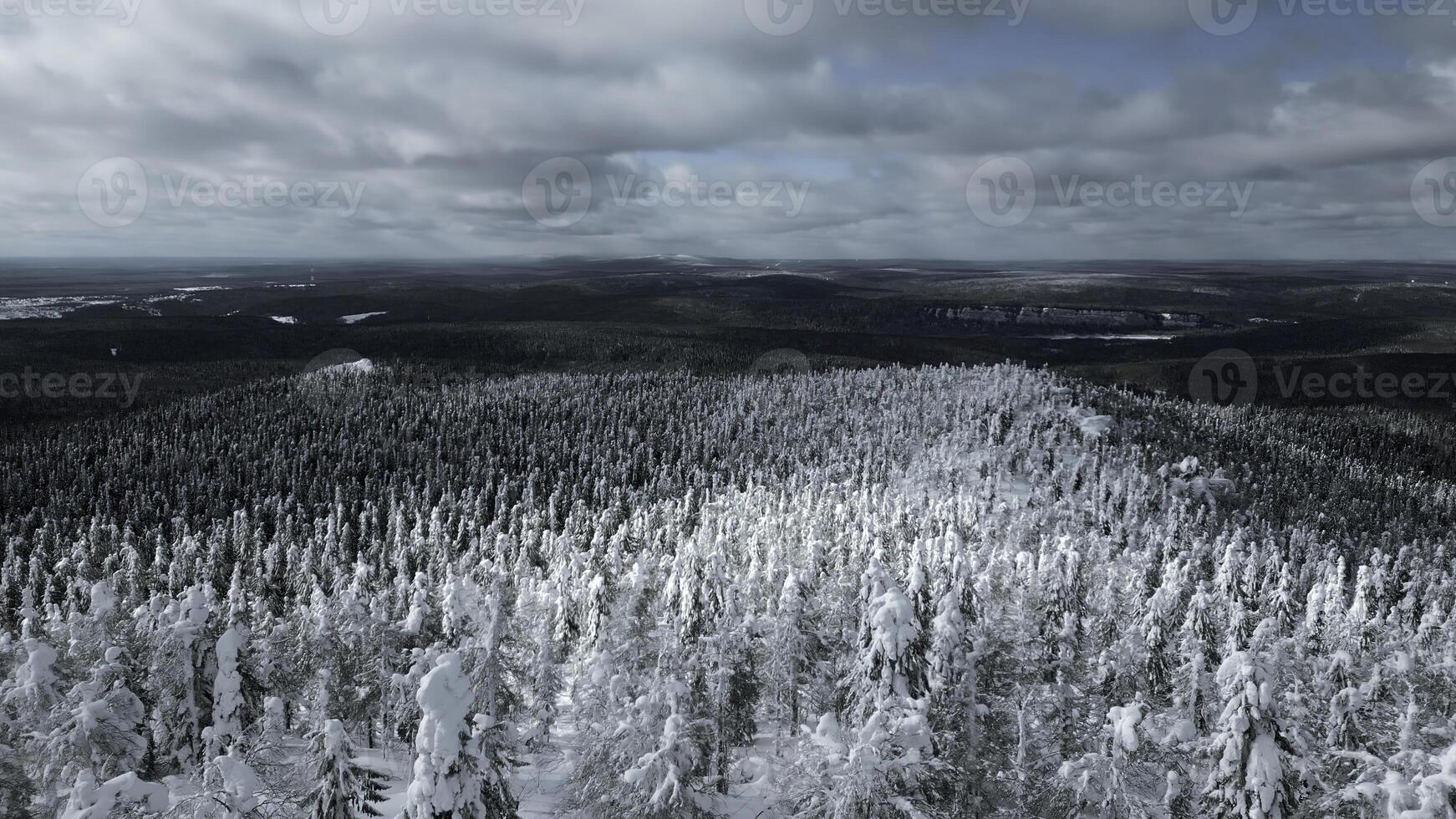 Slow motion aerial view of snowy trees in beautiful winter forest. Clip. Winter landscape in frozen mountains nature. photo