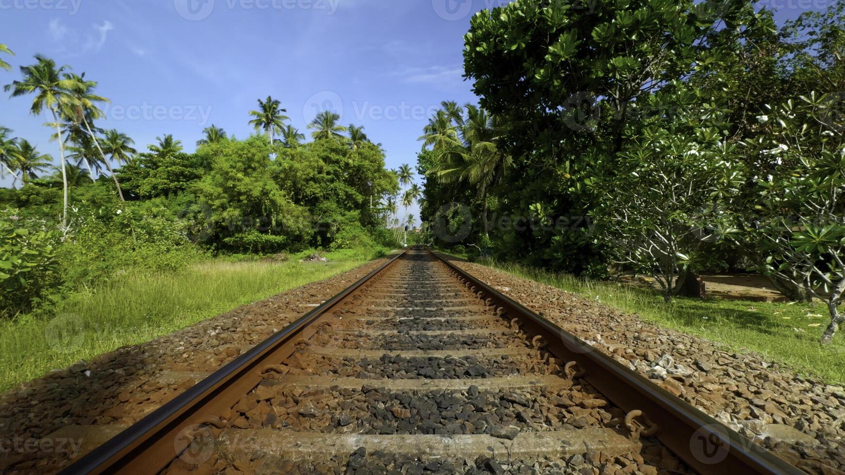 Walking along abandoned railway track. Action. Lush green tropical vegetation on a summer day. photo